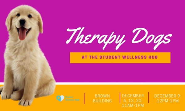 Therapy Dogs